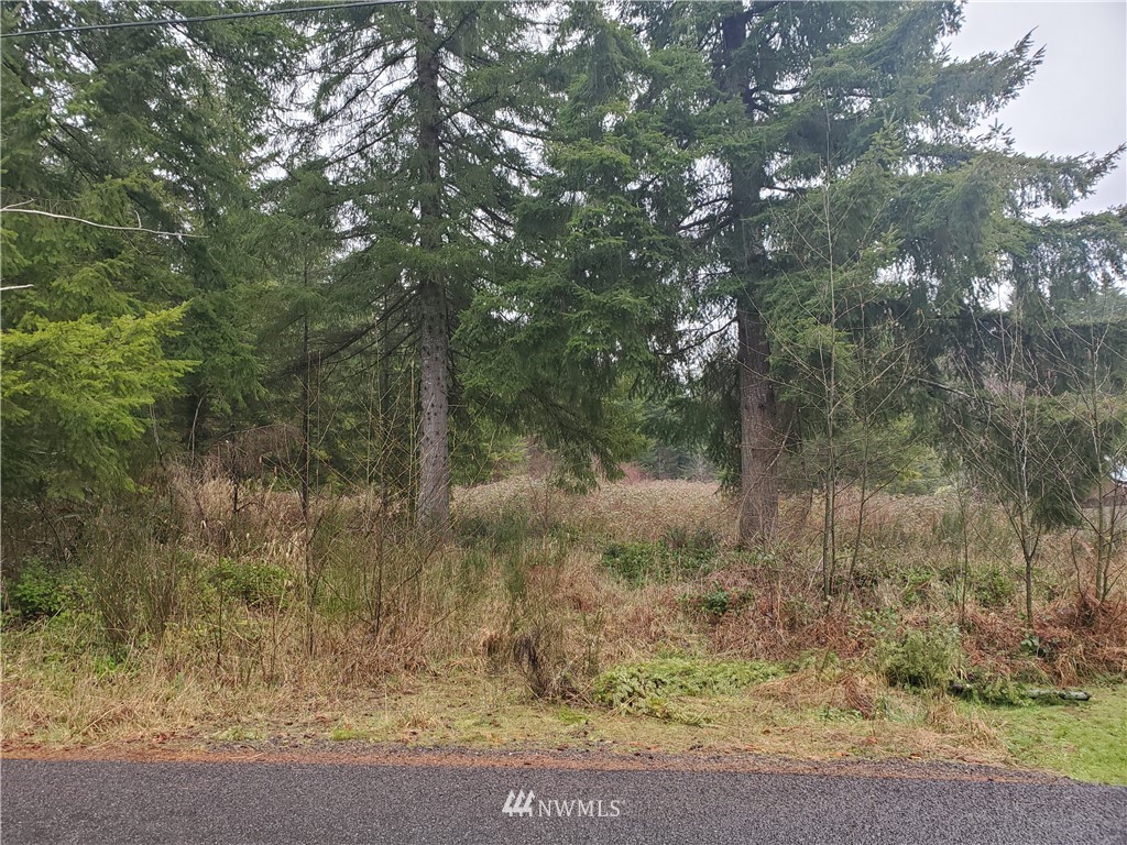 12 Boley Road Elma, WA 98541 - Photo 1 of 15 Gallery Image 1