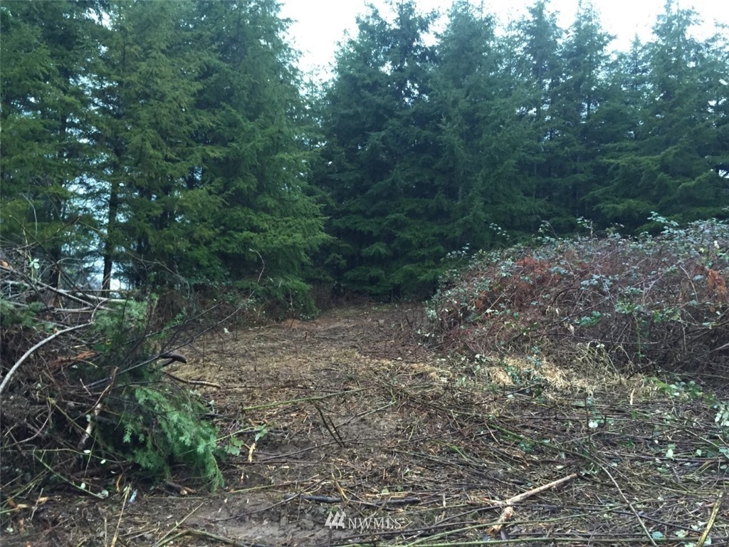 12 Boley Road Elma, WA 98541 - Photo 13 of 15 Gallery Image 13
