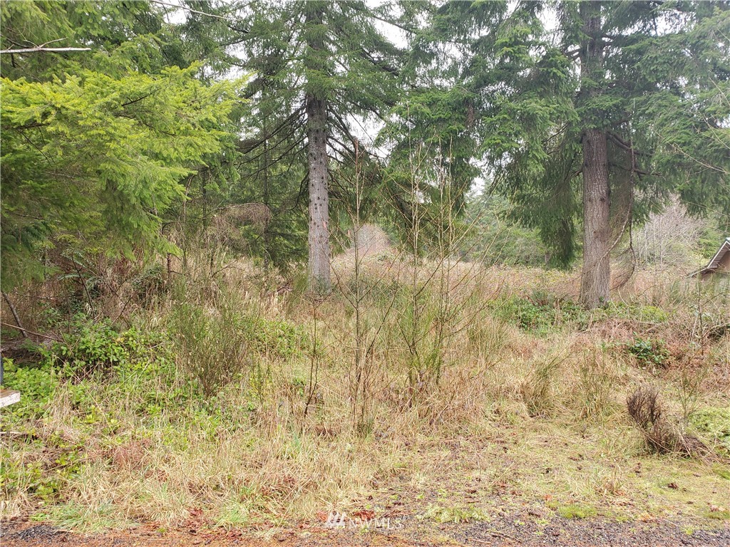 12 Boley Road Elma, WA 98541 - Photo 5 of 15 Gallery Image 5