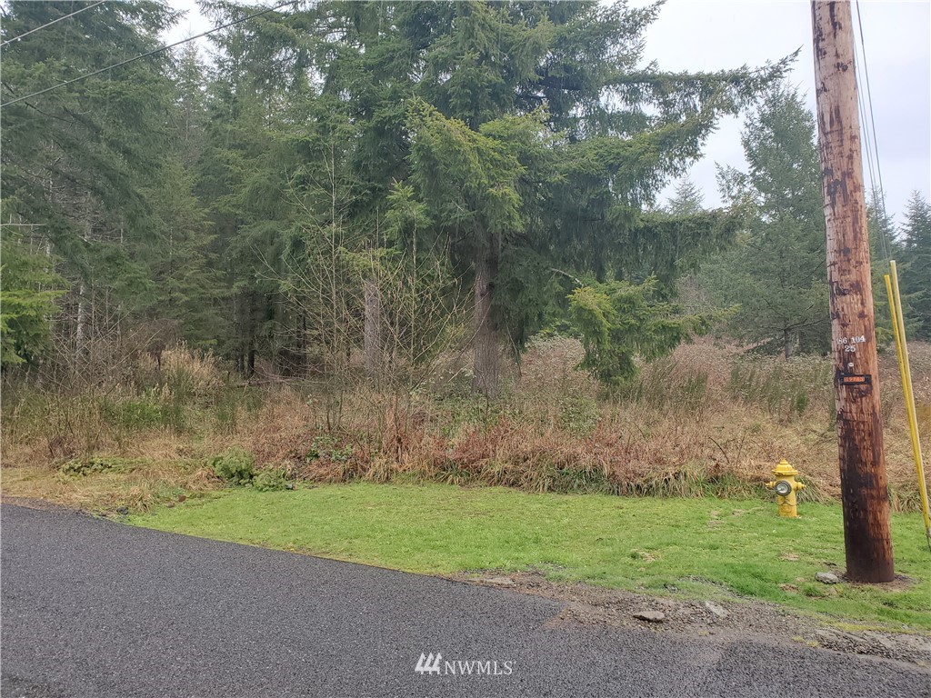 12 Boley Road Elma, WA 98541 - Photo 8 of 15 Gallery Image 8
