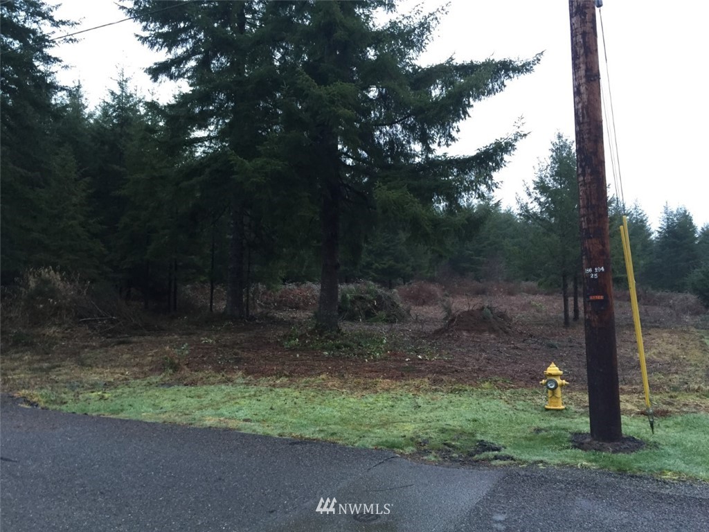 12 Boley Road Elma, WA 98541 - Photo 10 of 15 Gallery Image 10