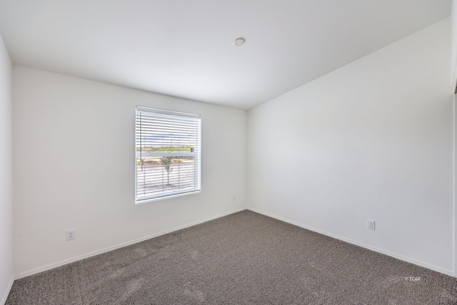 381 East Pechstein Road Pahrump, NV 89060 - Photo 26 of 46