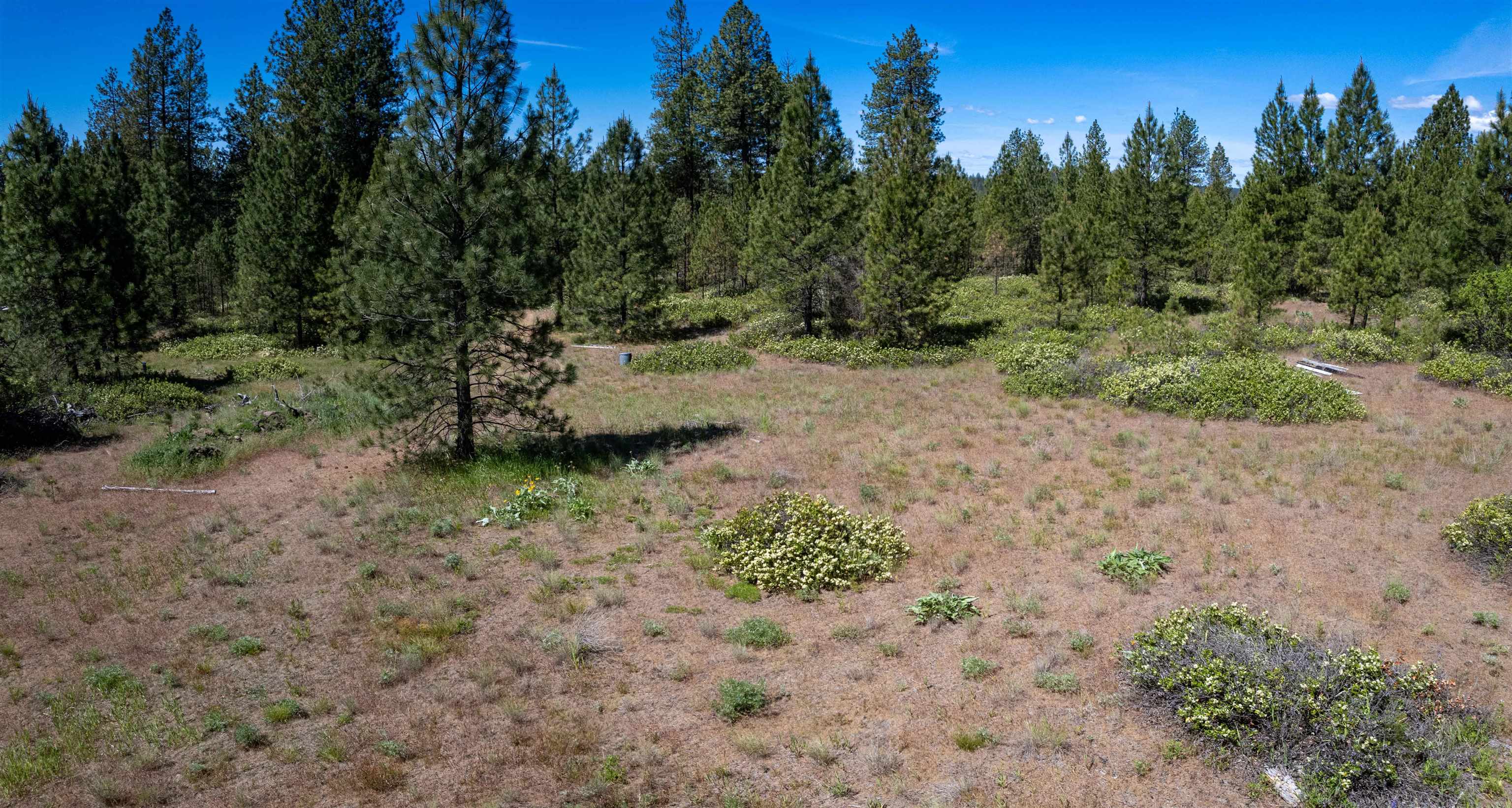 29-xxx North Hardesty Road Chattaroy, WA 99003 - Photo 22 of 40