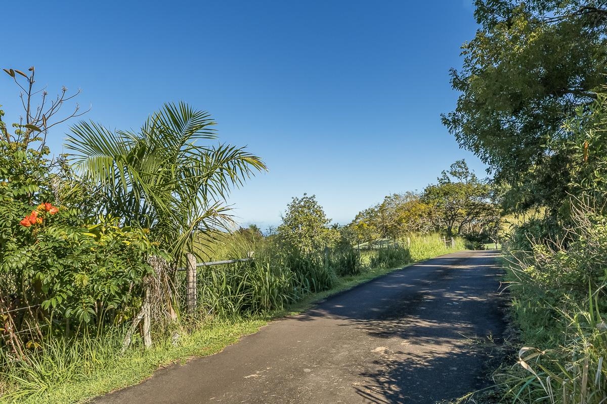 859 Hog Back Road, Unit C Haiku, HI 96708 - Photo 13 of 17 a view of a yard