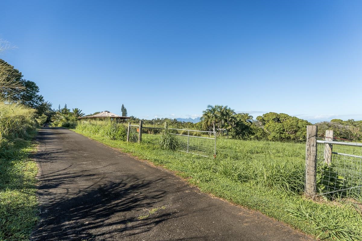 859 Hog Back Road, Unit C Haiku, HI 96708 - Photo 15 of 17 a view of a yard with an trees