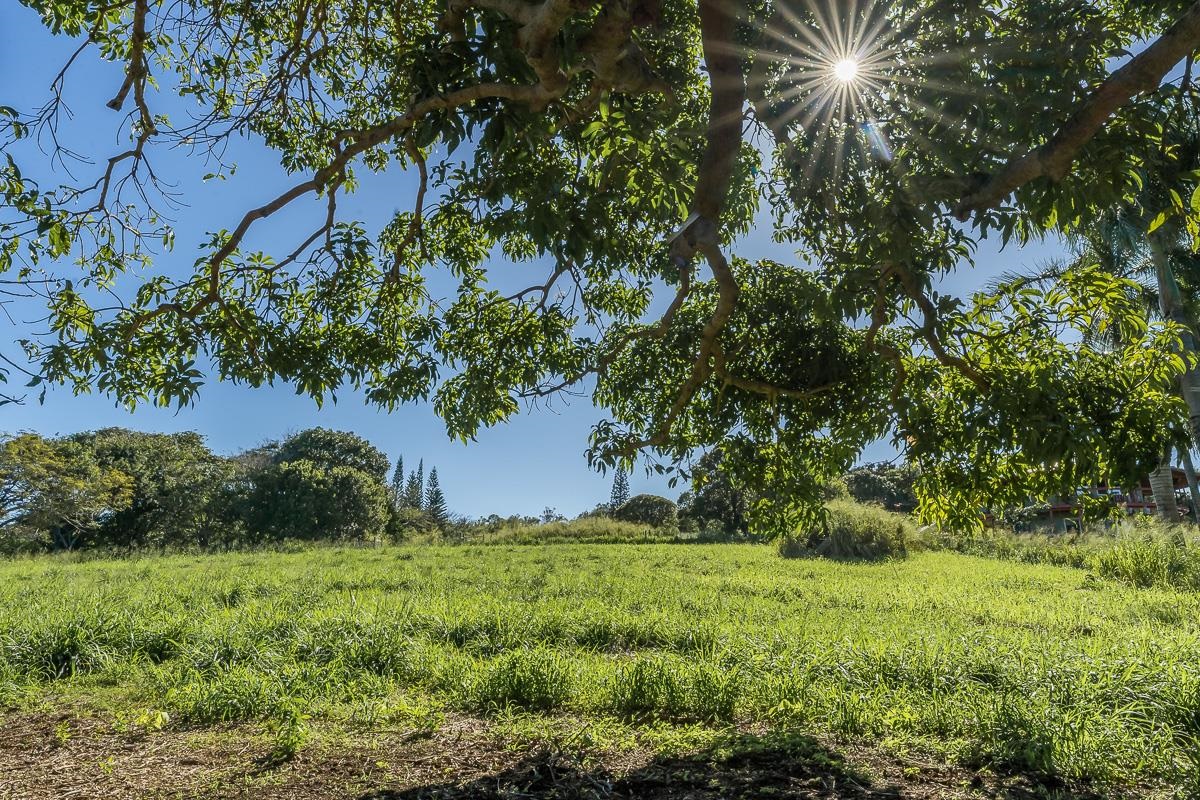 859 Hog Back Road, Unit C Haiku, HI 96708 - Photo 5 of 17 a view of a lush green space
