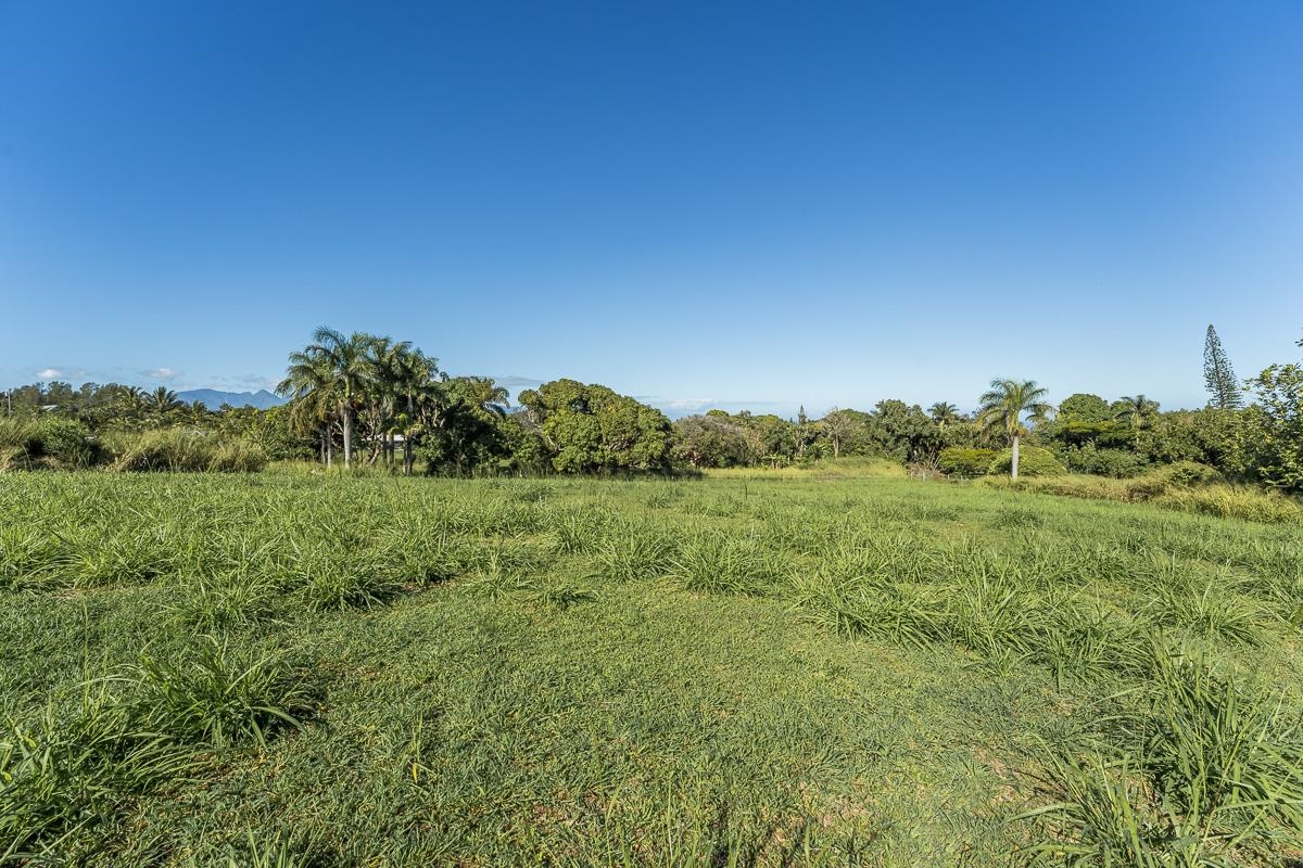 859 Hog Back Road, Unit C Haiku, HI 96708 - Photo 6 of 17 a view of a lush green space