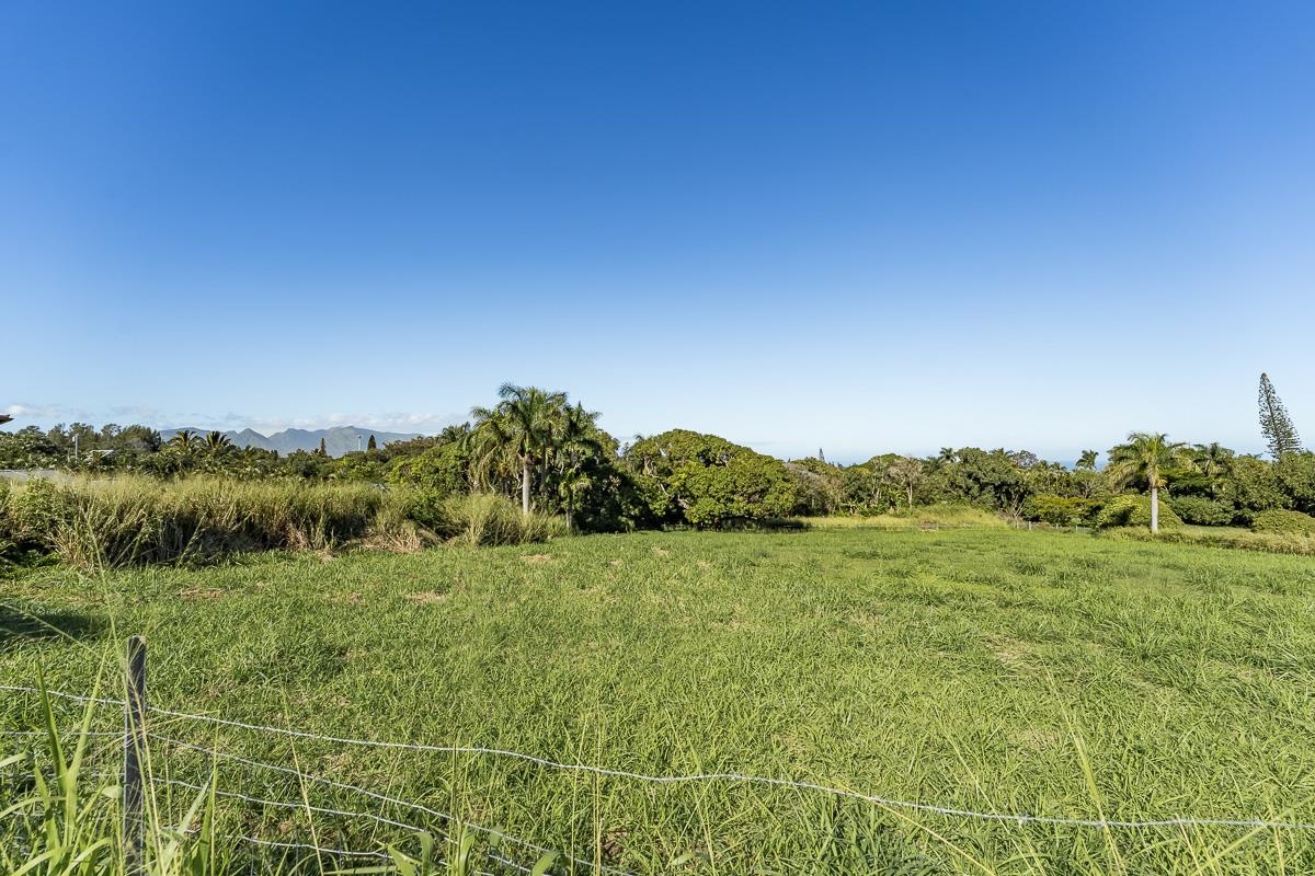 859 Hog Back Road, Unit C Haiku, HI 96708 - Photo 7 of 17 a view of a lush green field