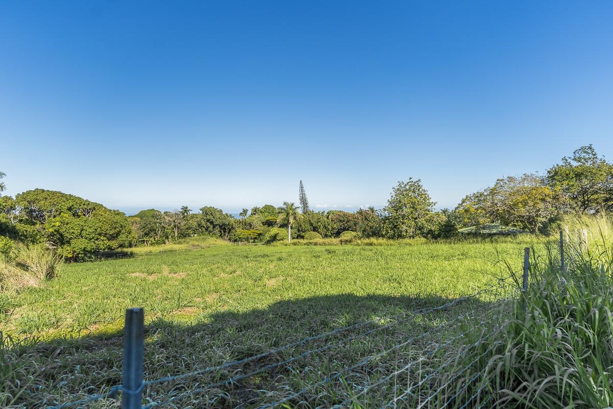 859 Hog Back Road, Unit C Haiku, HI 96708 - Photo 8 of 17 a view of a garden with an ocean