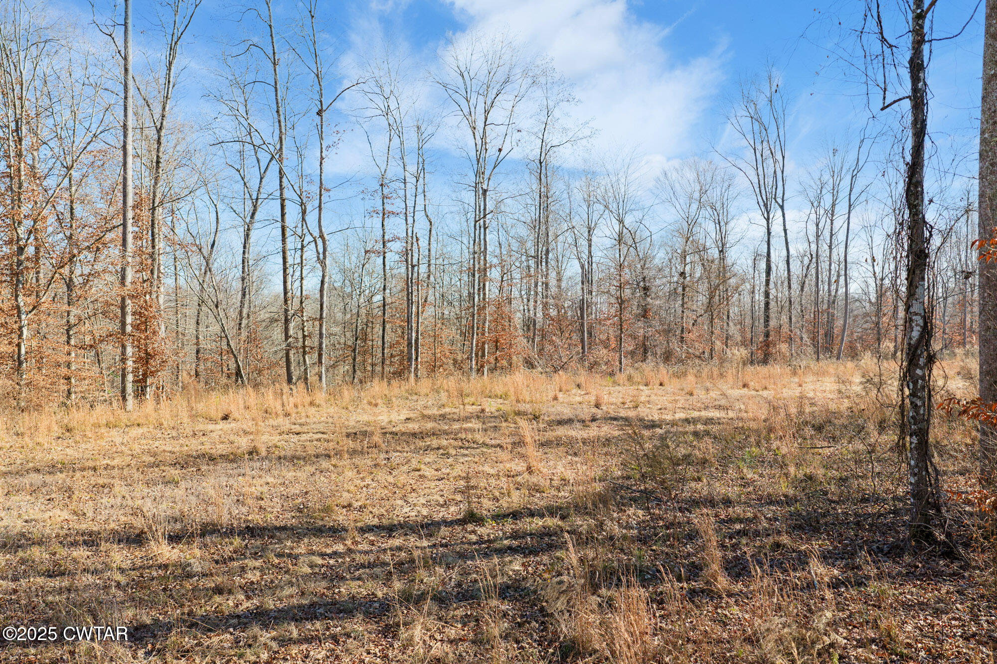 0 Holladay Road Parsons, TN 38363 - Photo 2 of 16 DJI_20251209122559_0146_D