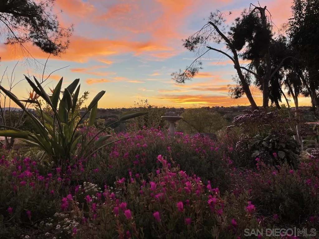 14102 Summit Crest Escondido, CA 92025 - Photo 52 of 52 a view of a houses with a flower garden in a back yard
