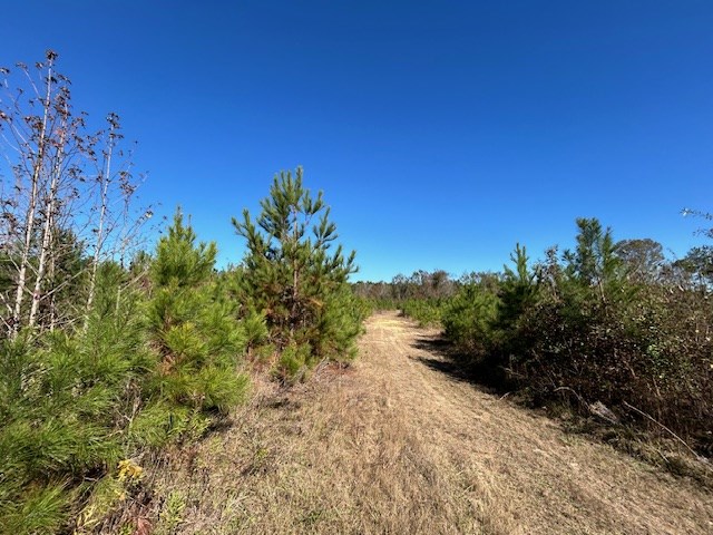 0 Martin Town Road Edgefield, SC 29824 - Photo 5 of 7