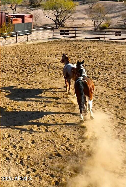 32905 North 140th Street Scottsdale, AZ 85262 - Photo 11 of 149 Horses running in arena