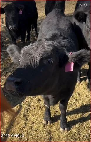 $2,950,000 | 32905 North 140th Street, Scottsdale, AZ 85262