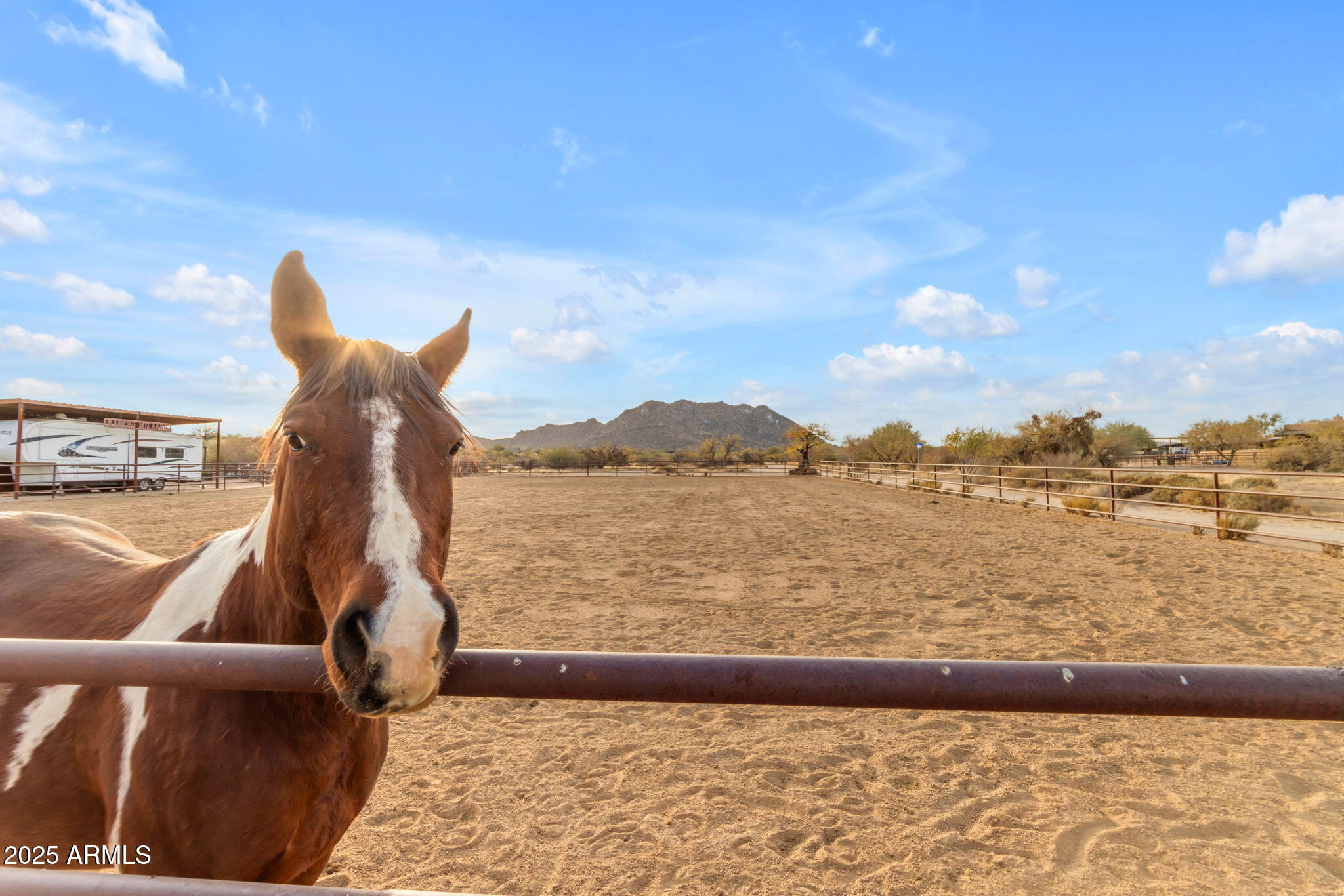 32905 North 140th Street Scottsdale, AZ 85262 - Photo 123 of 149 A horse lovers dream