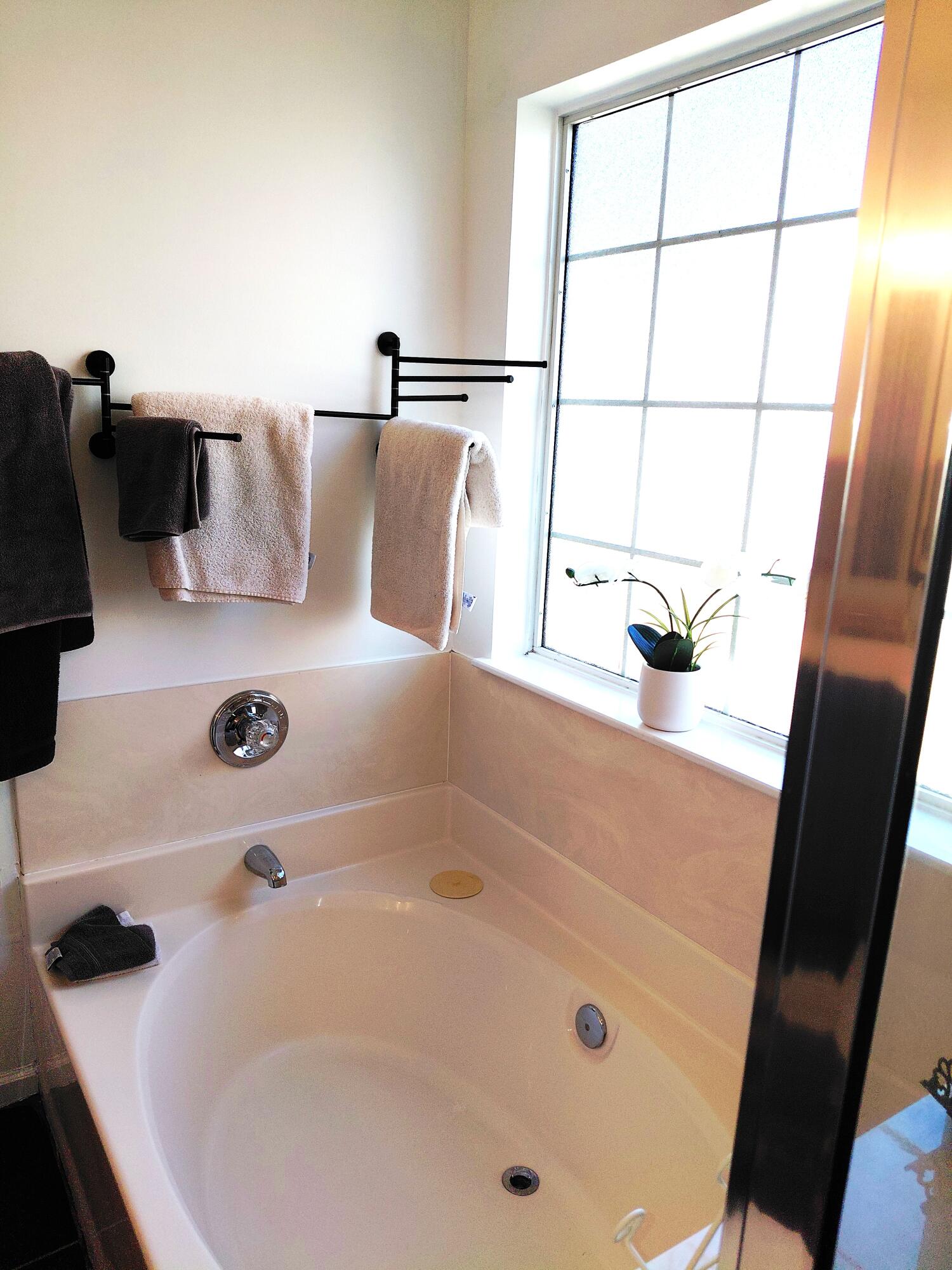 113 Historic Drive Mount Pleasant, SC 29464 - Photo 18 of 32 mbth soaker tub 2