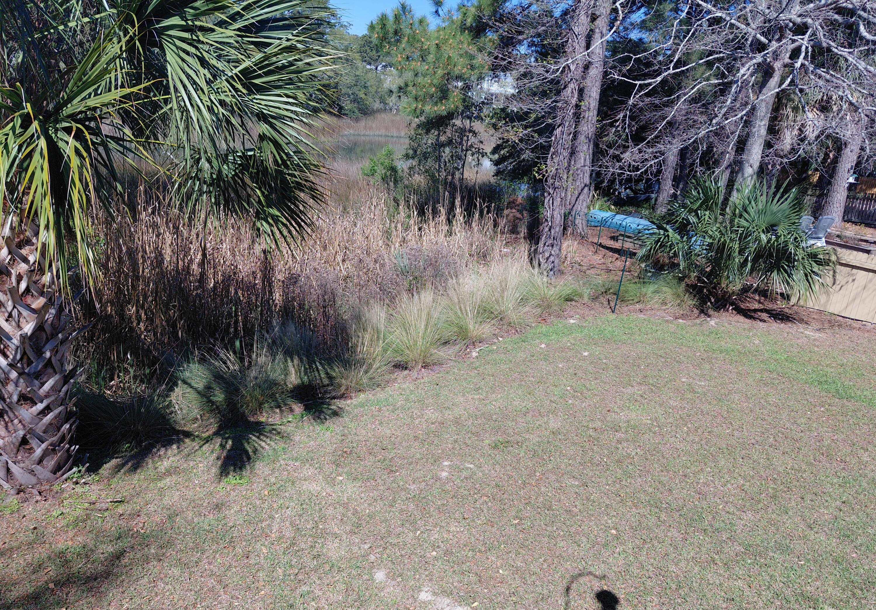 113 Historic Drive Mount Pleasant, SC 29464 - Photo 31 of 32 backyard from deck