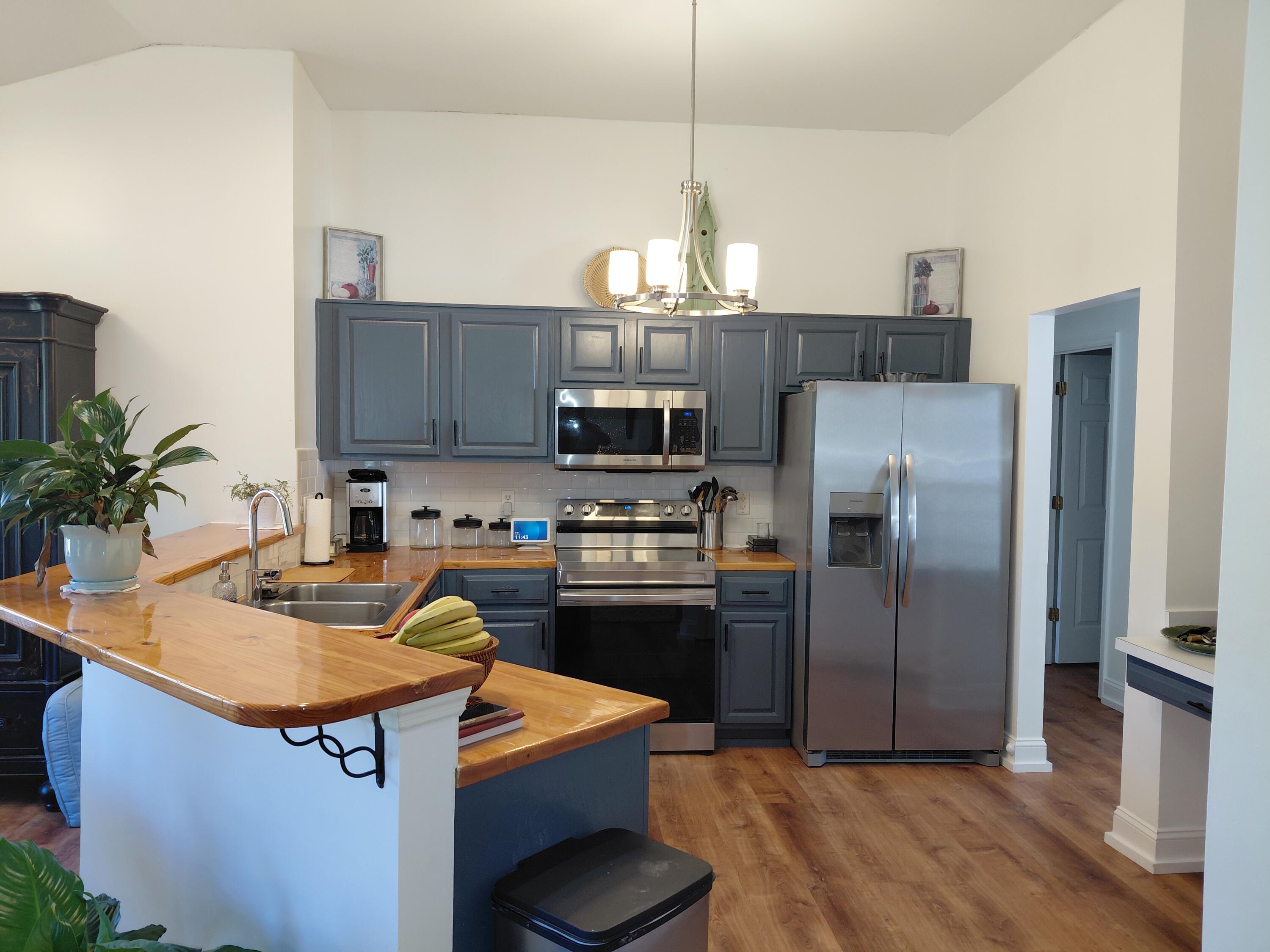 113 Historic Drive Mount Pleasant, SC 29464 - Photo 4 of 32 kitchen