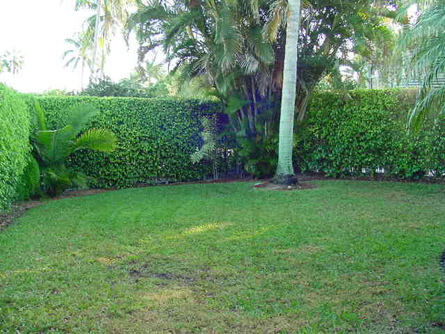 5875 Northwest 42nd Terrace Boca Raton, FL 33496 - Photo 3 of 17 Backyard