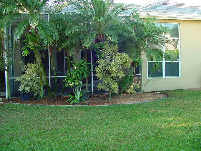 5875 Northwest 42nd Terrace Boca Raton, FL 33496 - Photo 4 of 17 Yard & Screen Patio