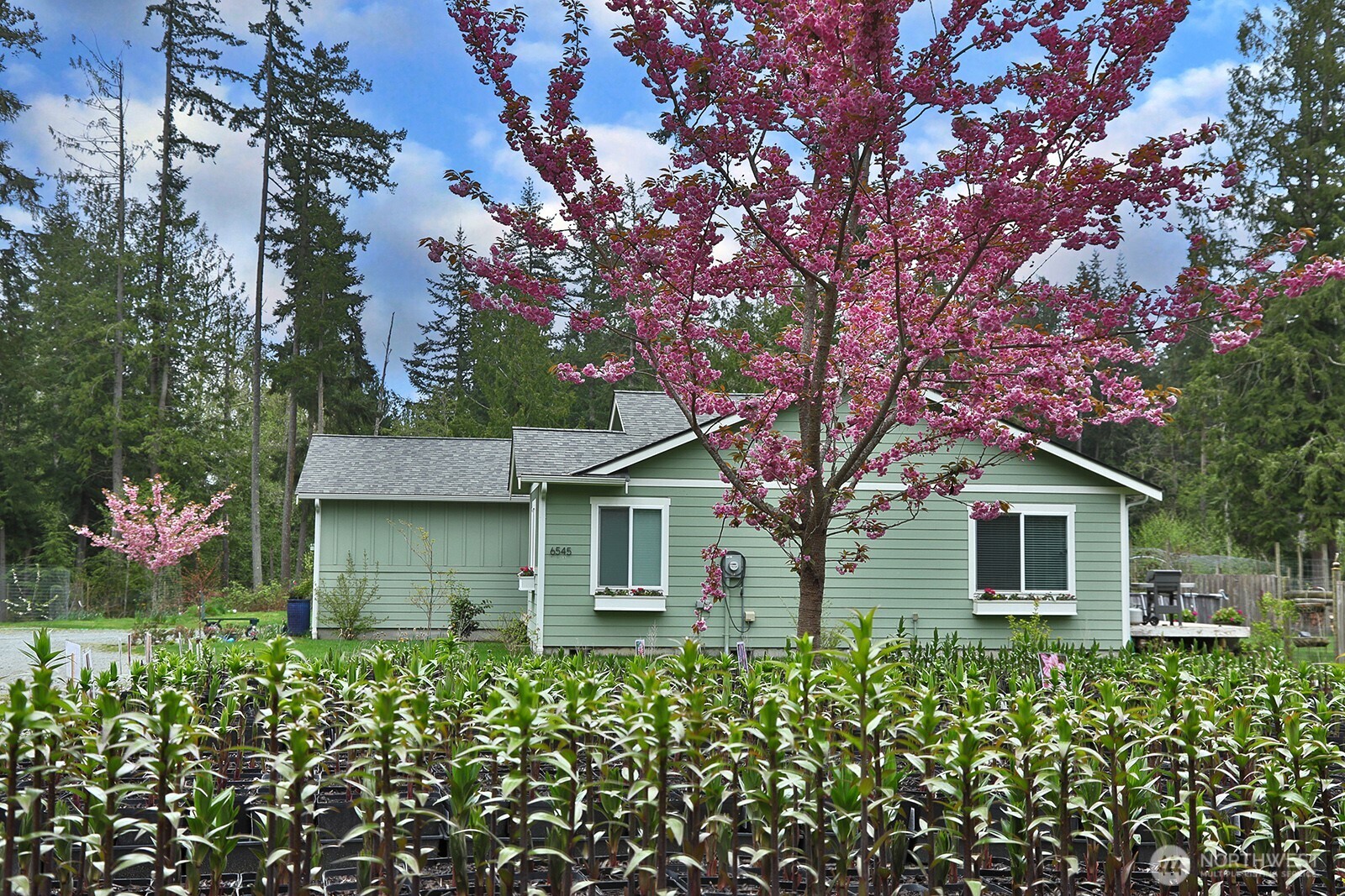 6545 Cultus Bay Road Clinton, WA 98236 - Photo 5 of 40