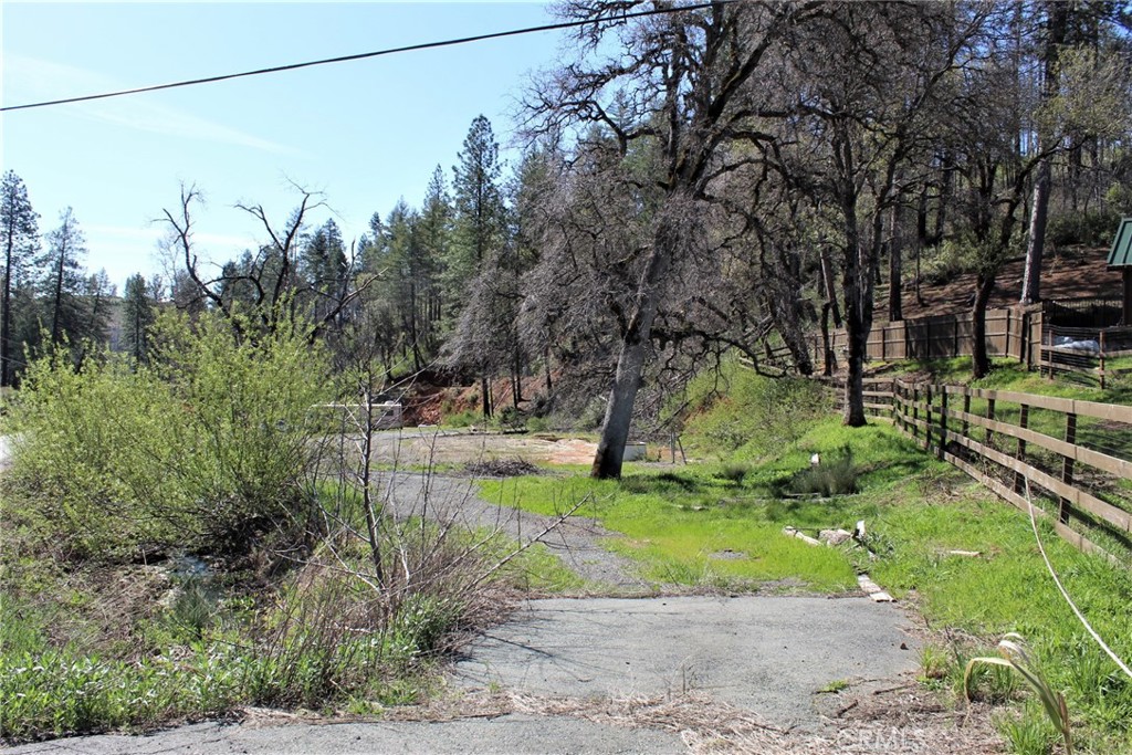 a view of a yard with a tree
