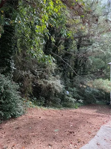 a view of a yard with a tree