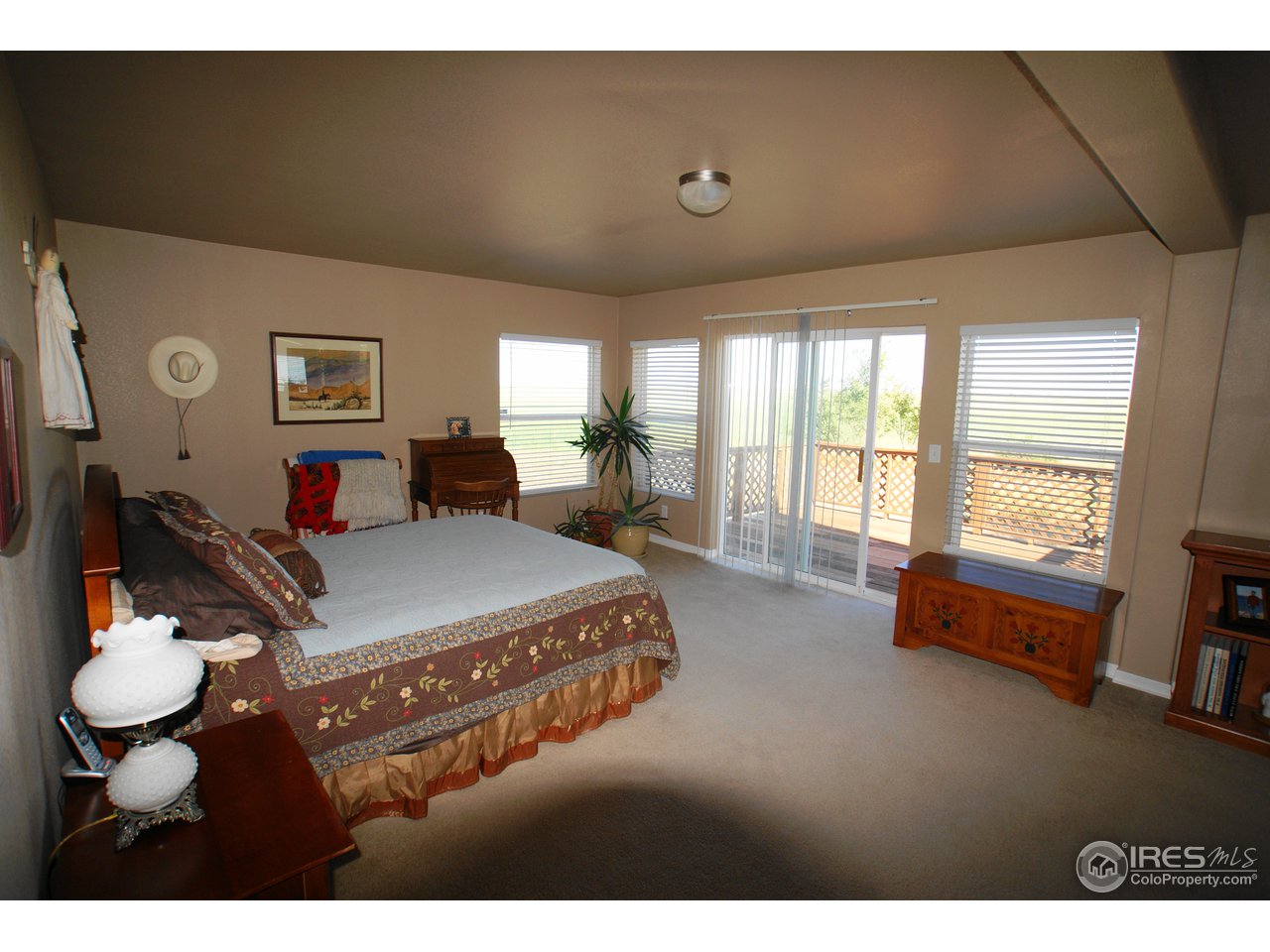 9460 Manilla Road Bennett, CO 80102 - Photo 8 of 15 Master Suite