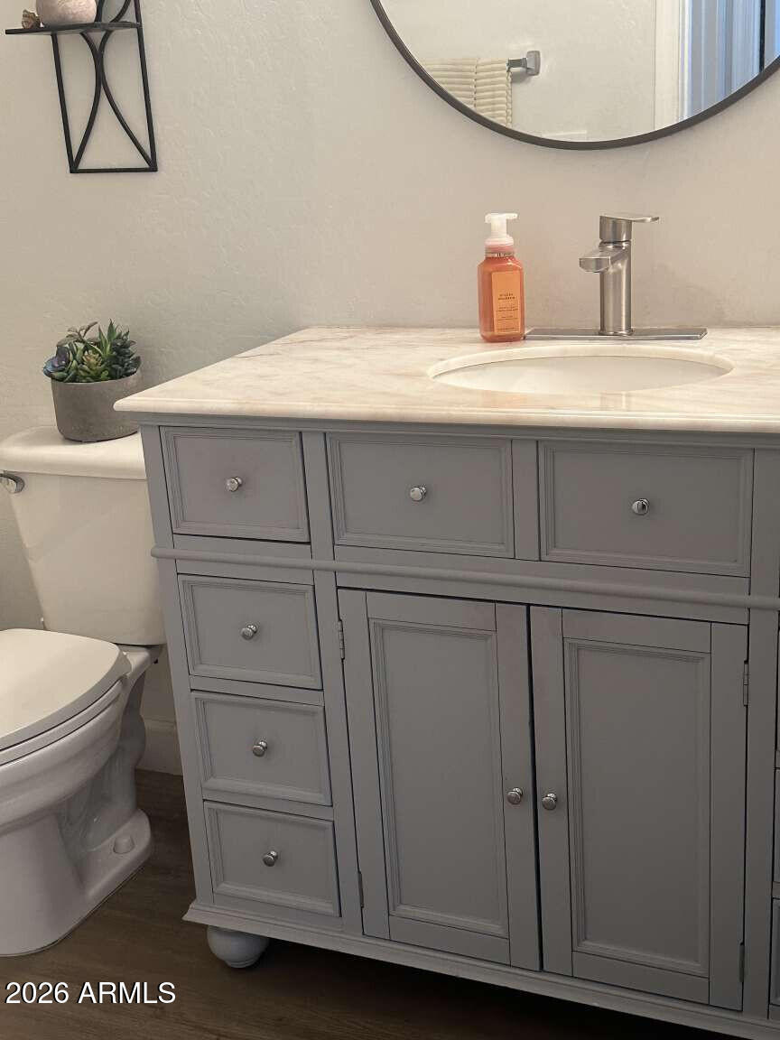 2576 East Brooks Street Gilbert, AZ 85296 - Photo 17 of 18 a bathroom with a sink a toilet and a mirror