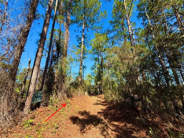 $750,000 | 40001 Maggie Jones Road, Eustis, FL 32736