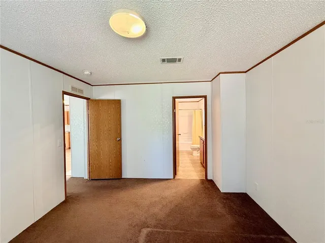 a view of a yard with plants and a large tree