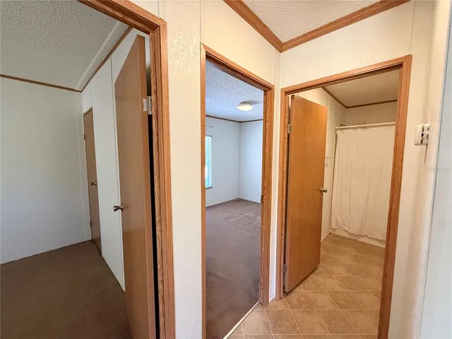 a view of backyard with green space