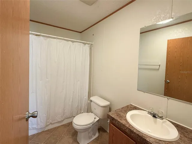 a view of a tree with a plant