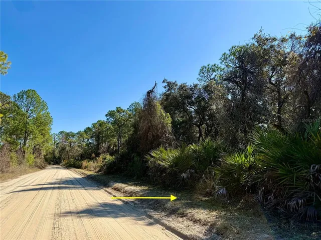a view of a yard with plants and trees