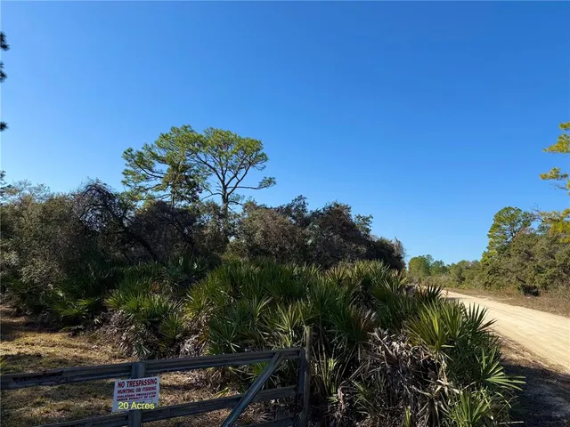 a view of a plants with yard