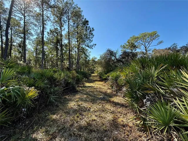 a view of outdoor space and trees