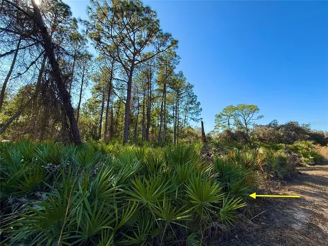 $750,000 | 40001 Maggie Jones Road, Eustis, FL 32736