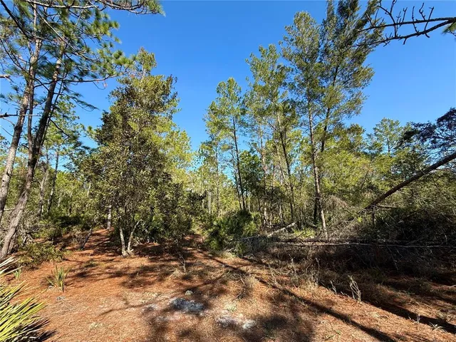 $750,000 | 40001 Maggie Jones Road, Eustis, FL 32736