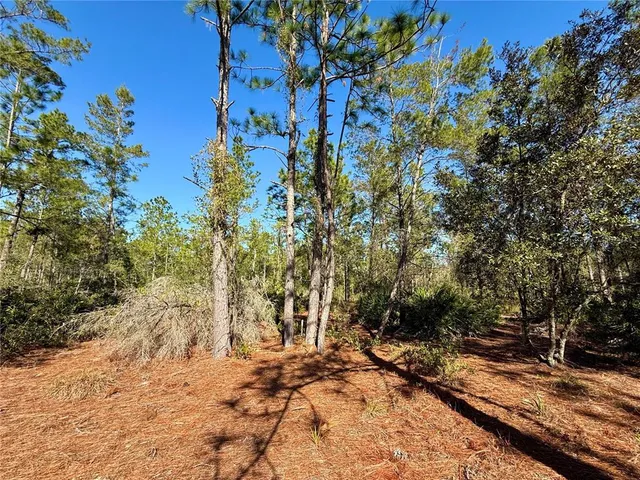 $750,000 | 40001 Maggie Jones Road, Eustis, FL 32736