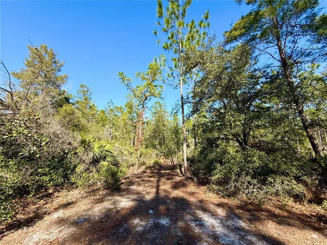 $750,000 | 40001 Maggie Jones Road, Eustis, FL 32736