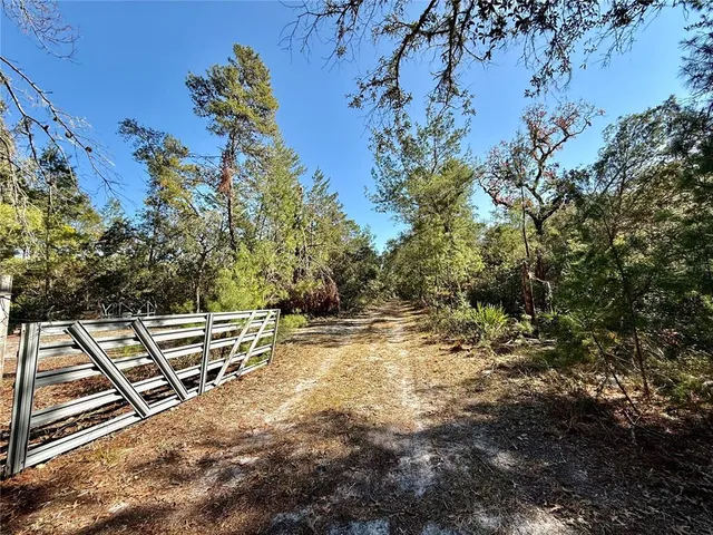 a view of a yard with wooden fence and floor