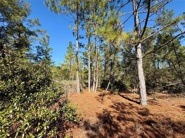 $750,000 | 40001 Maggie Jones Road, Eustis, FL 32736