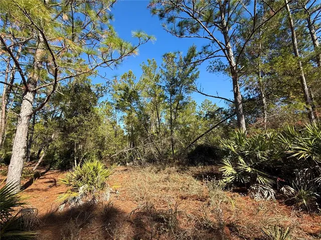 $750,000 | 40001 Maggie Jones Road, Eustis, FL 32736