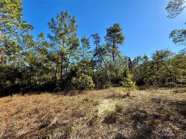 $750,000 | 40001 Maggie Jones Road, Eustis, FL 32736