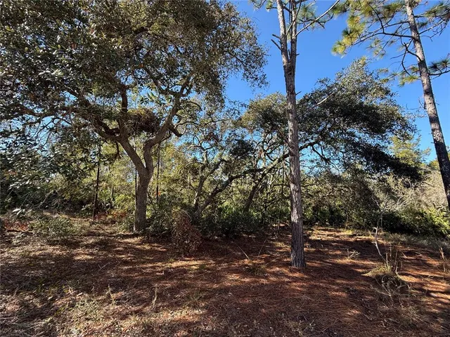 $750,000 | 40001 Maggie Jones Road, Eustis, FL 32736