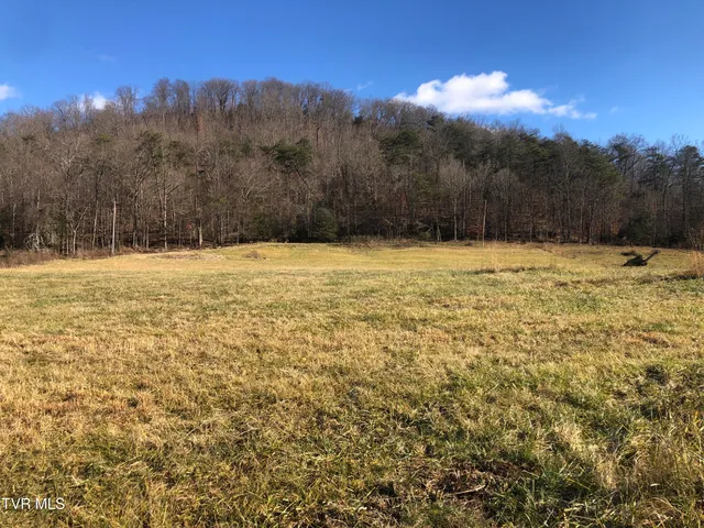 $75,000 | 1390 Babbs Mill Road, Unit 4, Afton, TN 37616
