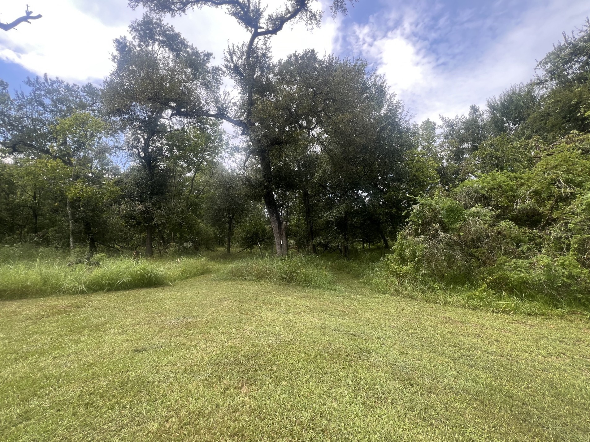 20218 Oak Forest Road Damon, TX 77430 - Photo 11 of 17 Cleared yard area but wooded areas also