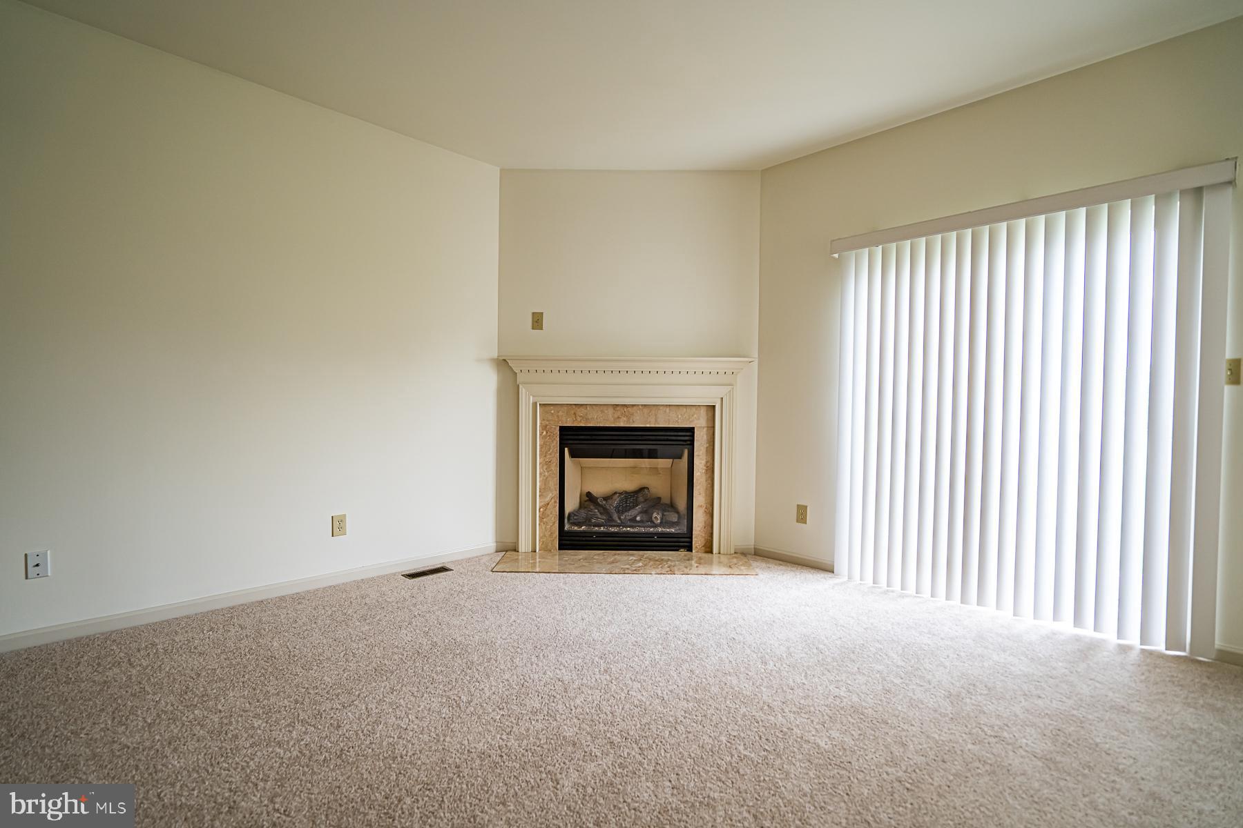 430 Buchanan Road Perkasie, PA 18944 - Photo 9 of 35 Gas Fireplace