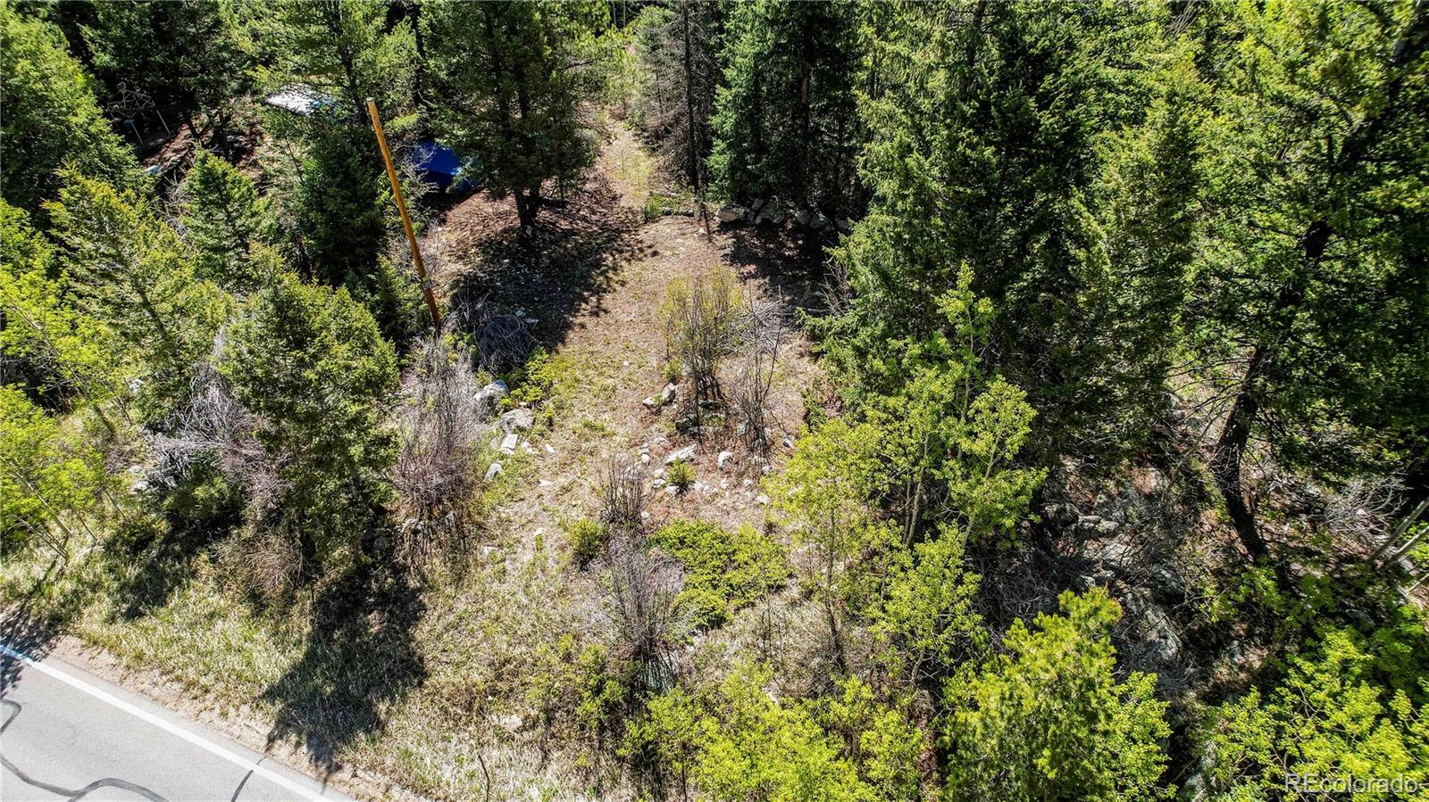 103 Cascade Creek Road Idaho Springs, CO 80452 - Photo 34 of 40 a view of a forest with a tree