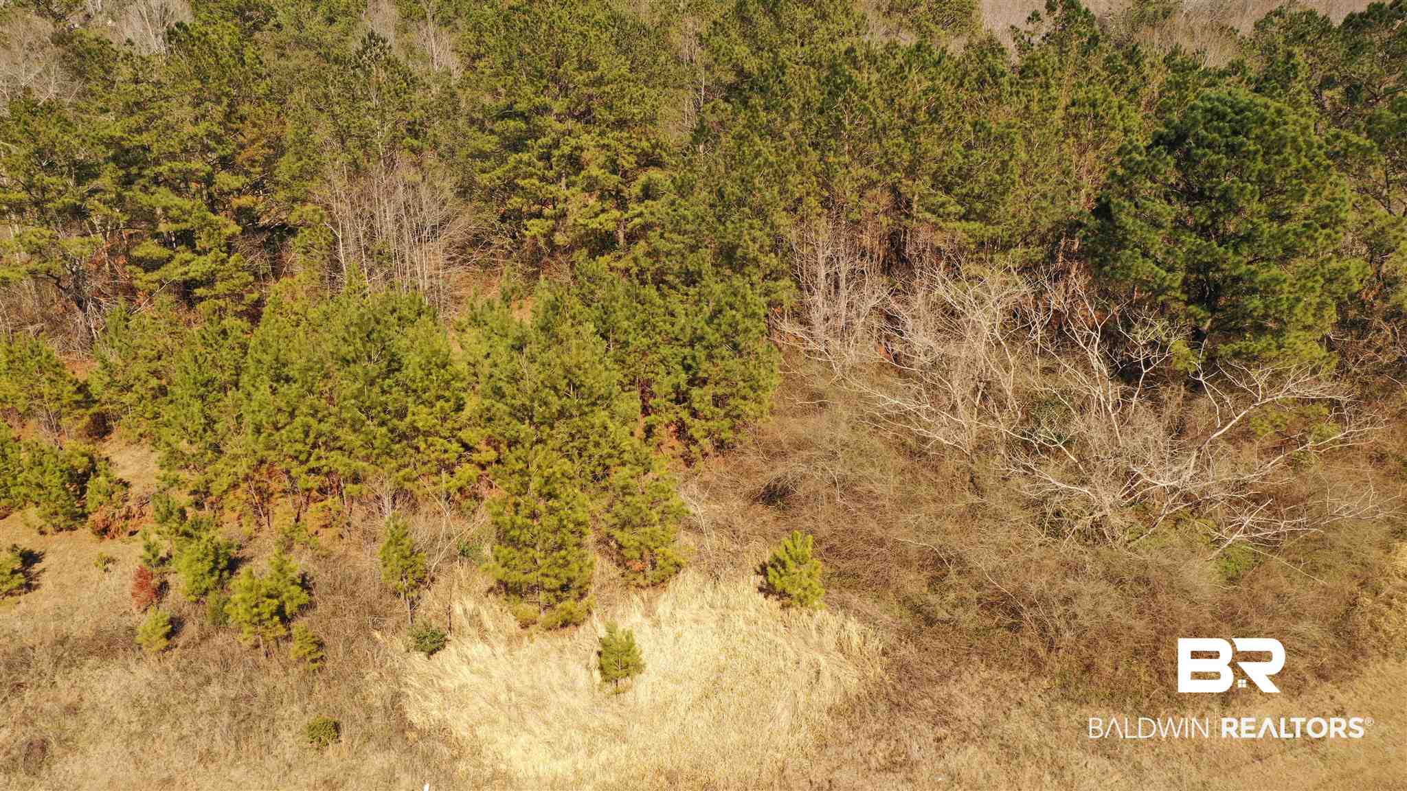 1 Moran Street Bay Minette, AL 36507 - Photo 4 of 18